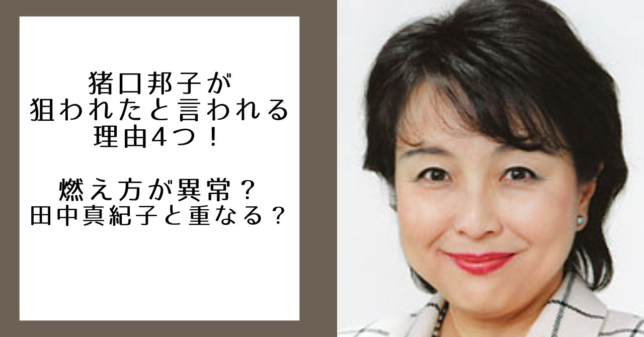 猪口邦子が狙われたと言われる理由4つ！燃え方が異常？田中真紀子と重なる？